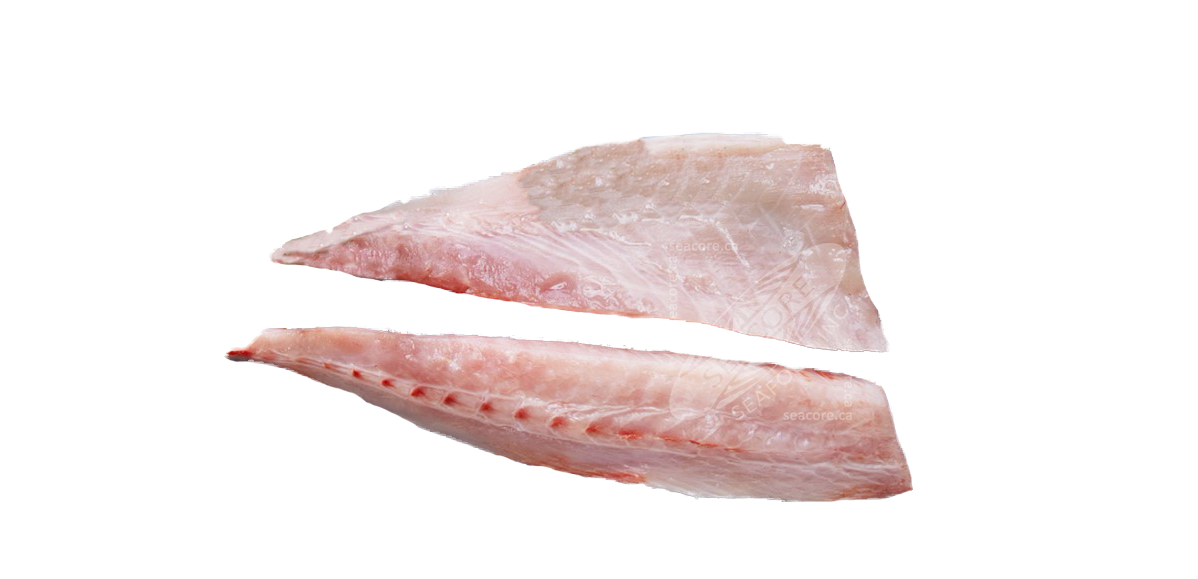 Kona Kampachi Seacore Seafood Products